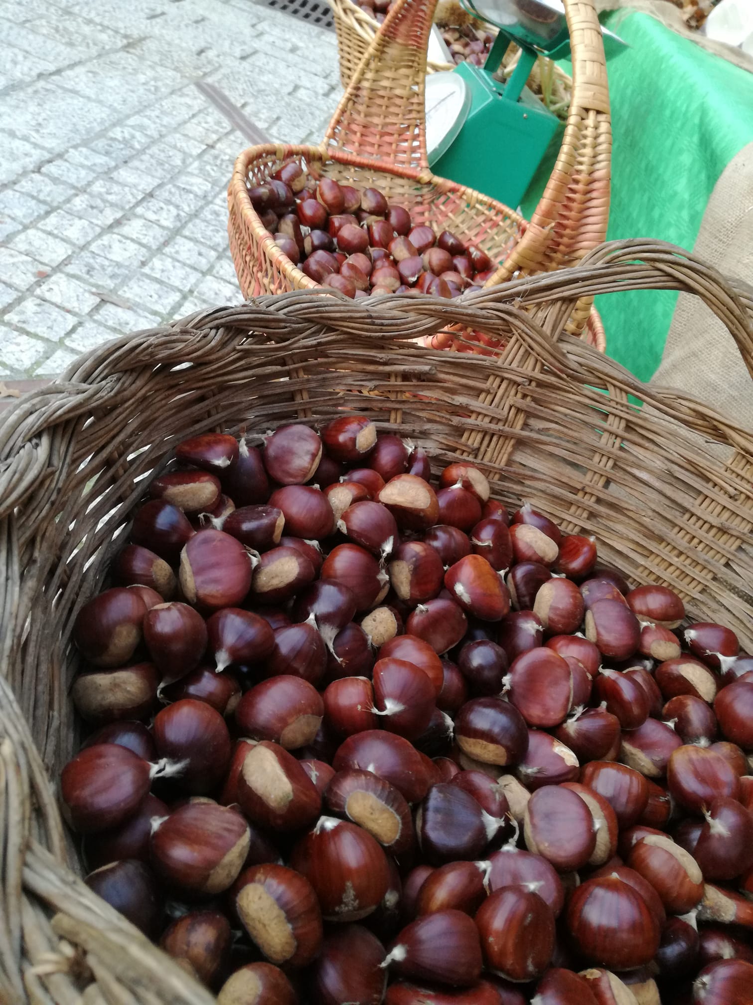 Sagra delle Castagne